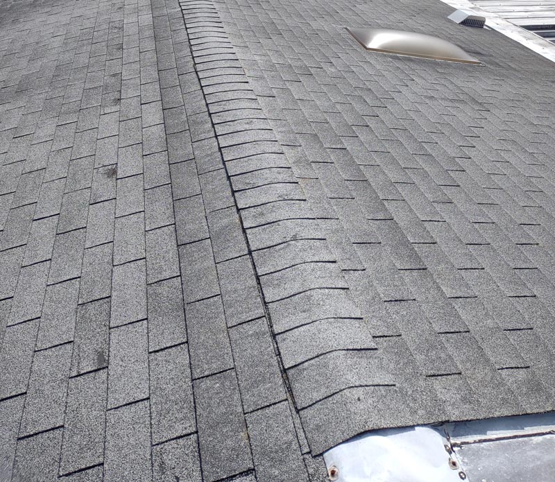 professional roof replacement services in Arcadia